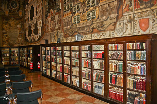 bolonia biblioteca universidad