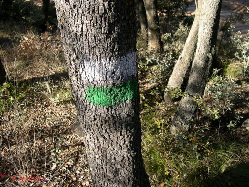marca blanca y verde del sendero a las Tetas de Viana