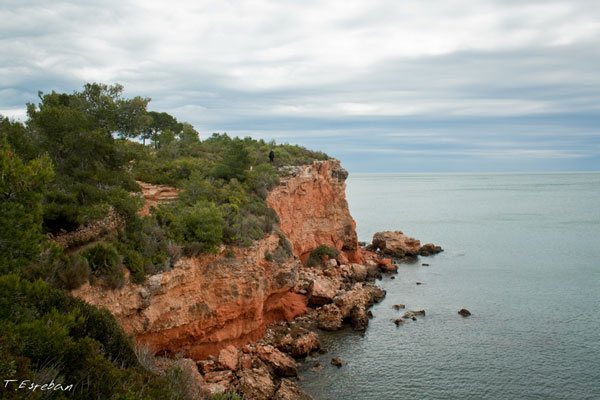 De L'Ampolla a la Cala de L'Aliga, un trocito del GR92 (Sendero del Mediterráneo) 1 Martín en el acantilado del gr92 en l'Ametlla