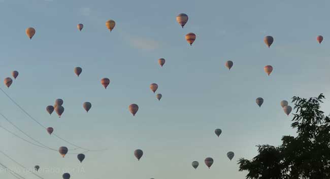 globos reducida