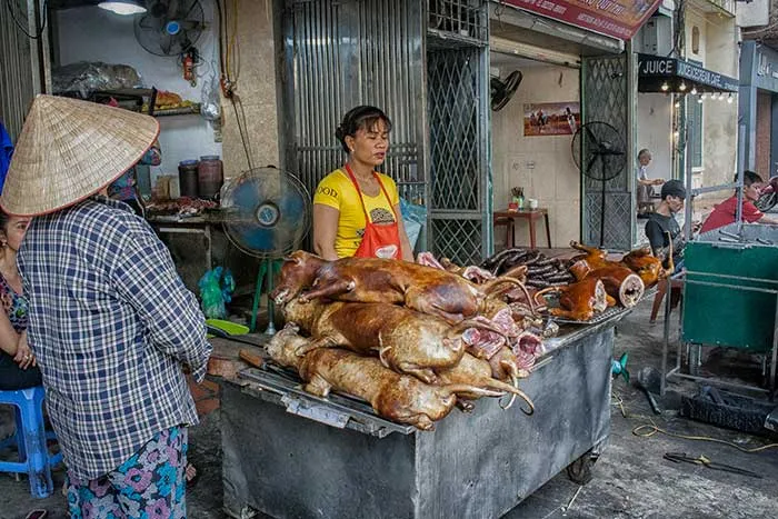 Circuito por Vietnam del norte. Hanoi, Sapa, Ninh Binh, Ha long 30 Galería fotográfica de Hanoi. Barrio antiguo
