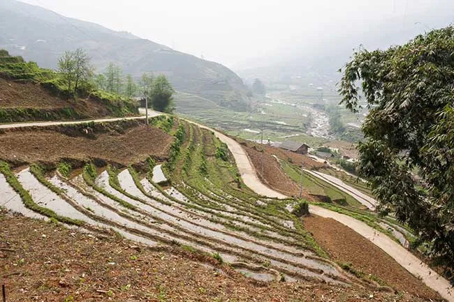Circuito por Vietnam del norte. Hanoi, Sapa, Ninh Binh, Ha long 53 Camino del recorrido junto a las terrazas embalsadas