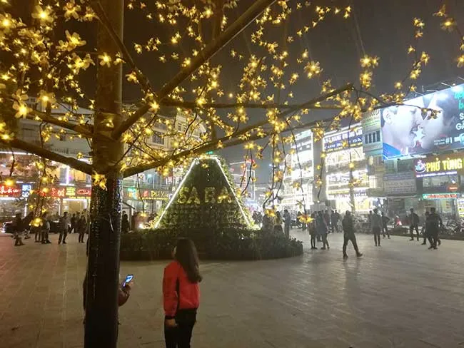 Circuito por Vietnam del norte. Hanoi, Sapa, Ninh Binh, Ha long 44 Calle por la noche y luces encendidas en arboles y casas